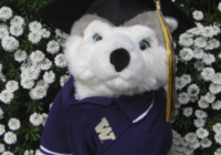Husky Graduation 