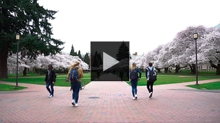 YouTube link to Why You Should Go to the University of Washington